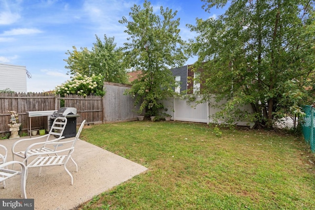 view of yard featuring a patio area