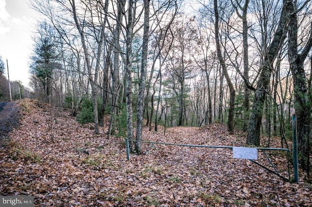 LOT22 Buck Ridges Rd, Franklin WV, 26807 land for sale