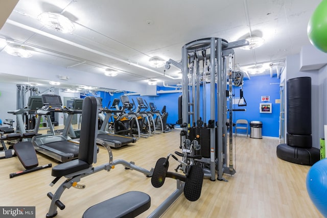 exercise room with light hardwood / wood-style floors