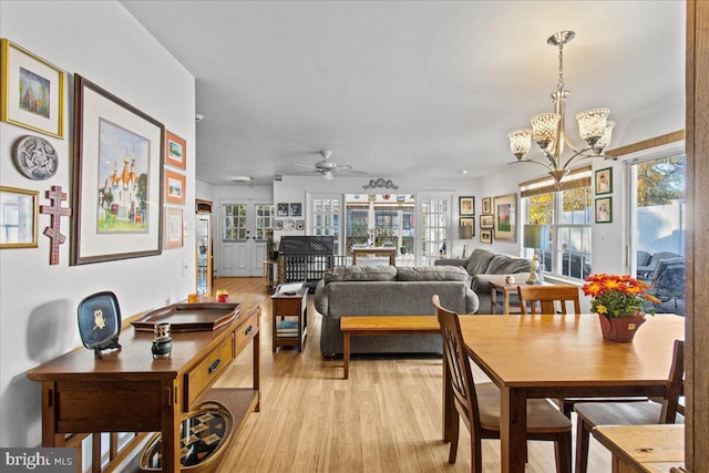 dining room with a healthy amount of sunlight, ceiling fan with notable chandelier, and light wood-type flooring