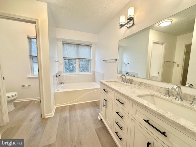 bathroom featuring a bath, wood-type flooring, a textured ceiling, toilet, and vanity