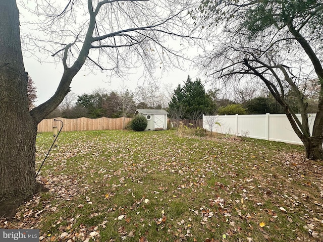 view of yard featuring a shed