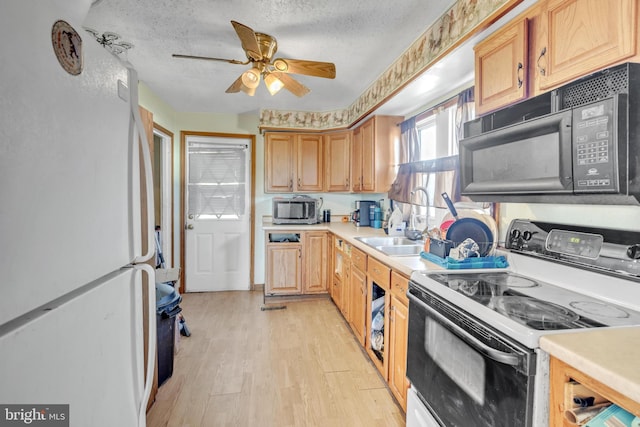 kitchen featuring light brown cabinetry, light wood-type flooring, a textured ceiling, white appliances, and ceiling fan