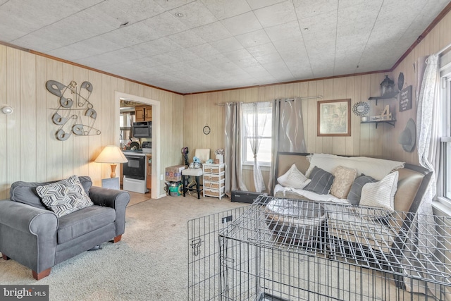 carpeted living room featuring ornamental molding and wood walls