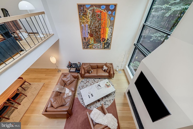 living room with wood-type flooring