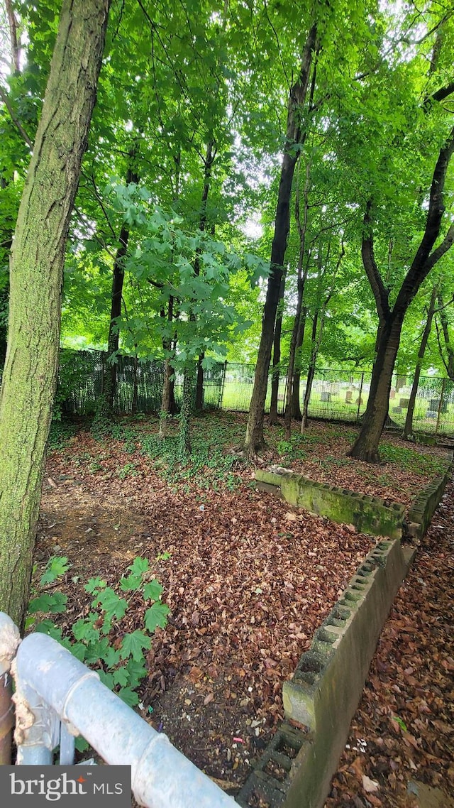 100 Emerson St NW, Washington, DC 20011 - view of fenced backyard