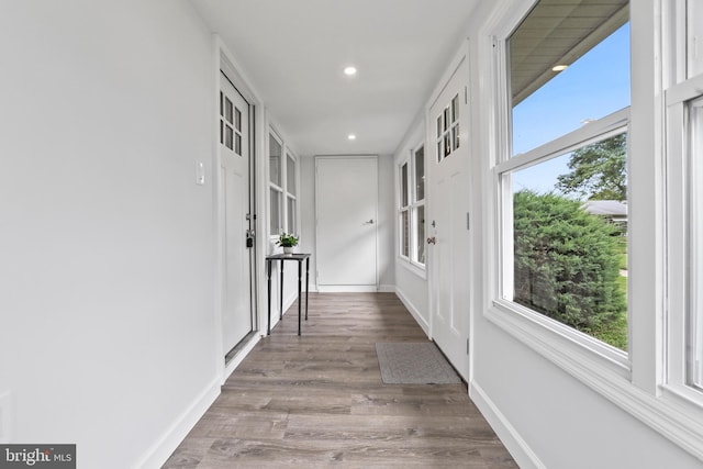 hallway with hardwood / wood-style flooring and a healthy amount of sunlight