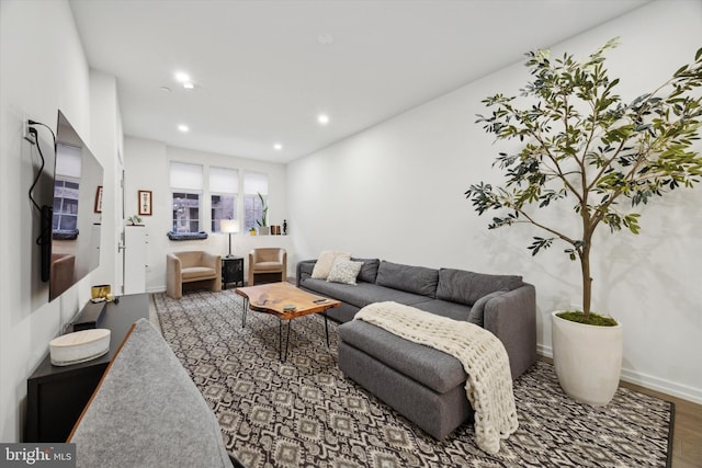 living room with wood-type flooring