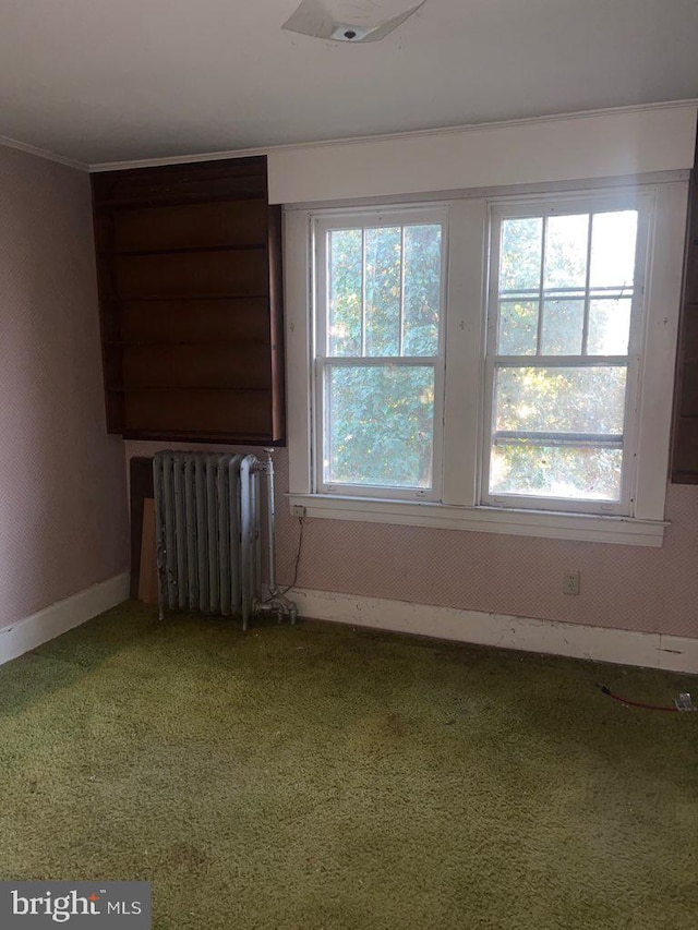 carpeted spare room with crown molding and radiator