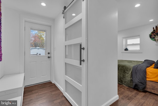 doorway with a barn door and dark hardwood / wood-style floors