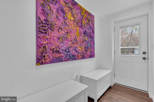 doorway to outside featuring dark wood-type flooring