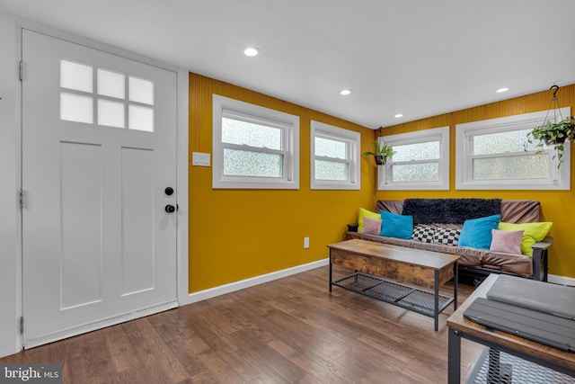 foyer with hardwood / wood-style flooring