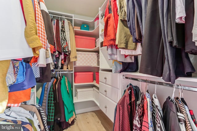 spacious closet with light hardwood / wood-style floors