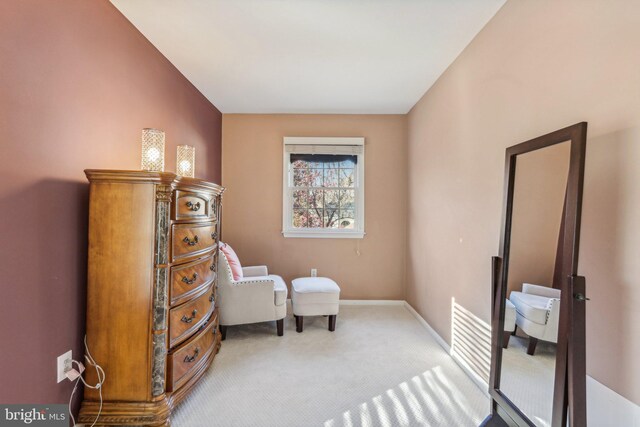 sitting room featuring carpet floors