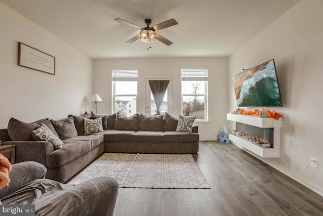 living room featuring ceiling fan and dark hardwood / wood-style floors