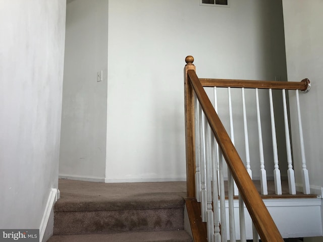 staircase featuring carpet floors