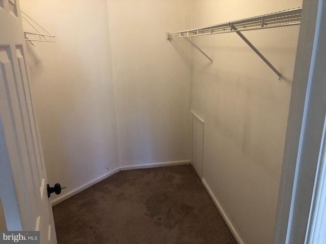 walk in closet with dark carpet