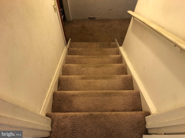 stairs featuring carpet floors