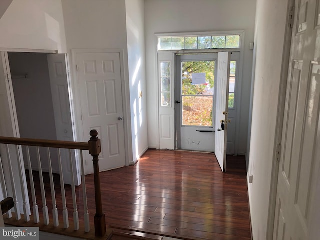 entrance foyer featuring dark wood-type flooring