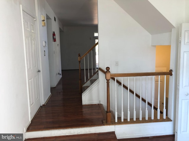 stairway featuring hardwood / wood-style floors