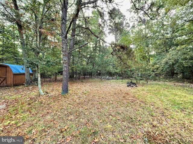 view of yard featuring a storage shed