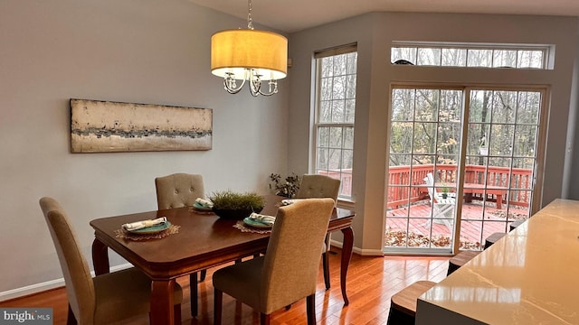 dining room with hardwood / wood-style floors, a wealth of natural light, and a notable chandelier