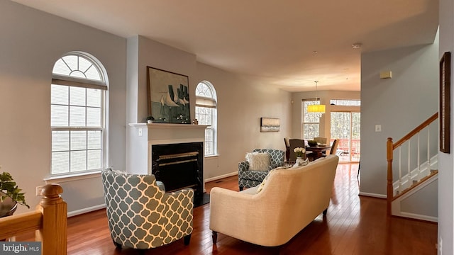 living room with wood-type flooring