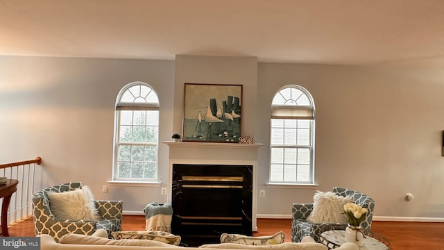 living room featuring wood-type flooring