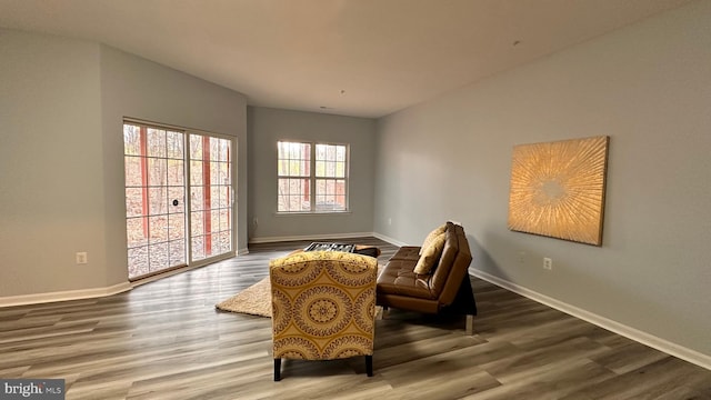 sitting room featuring hardwood / wood-style floors