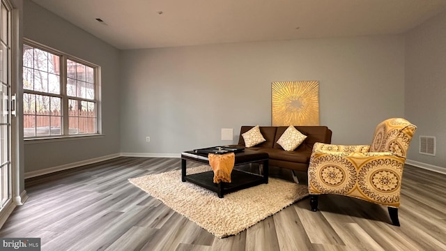 living room featuring hardwood / wood-style flooring