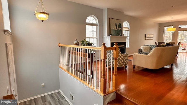 stairs featuring wood-type flooring and plenty of natural light