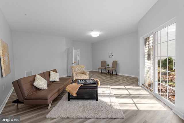 living room with light hardwood / wood-style floors