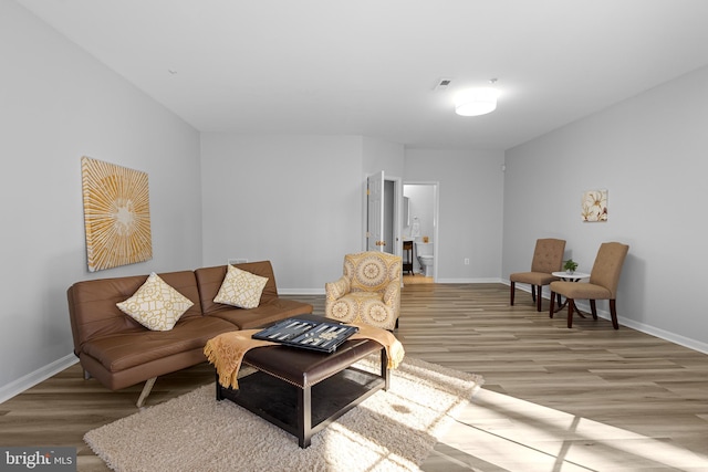 living room featuring hardwood / wood-style flooring