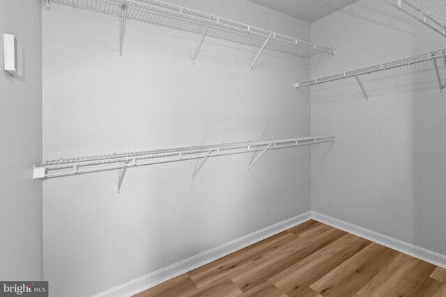 spacious closet featuring hardwood / wood-style flooring