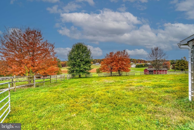 view of yard with a rural view