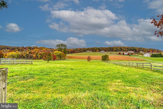 view of yard featuring a rural view