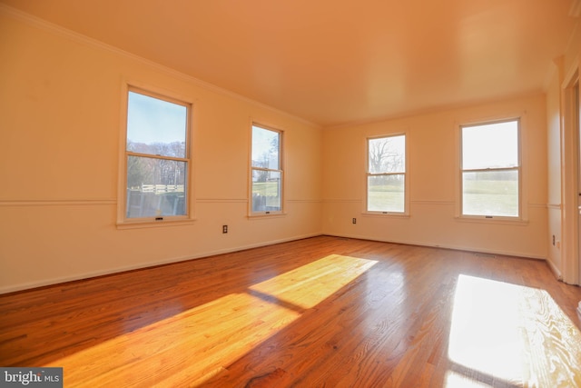 empty room featuring crown molding and wood-type flooring