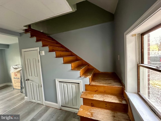 stairs with hardwood / wood-style flooring