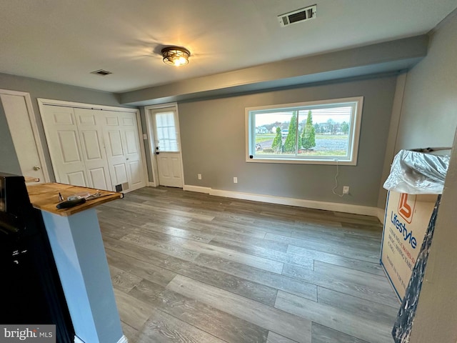 entryway featuring a wealth of natural light and wood-type flooring