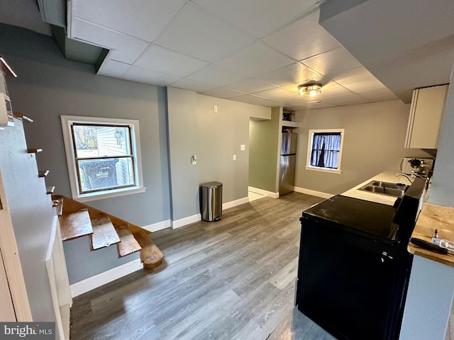 kitchen with hardwood / wood-style flooring, a drop ceiling, and sink