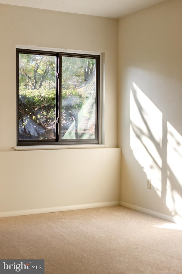 view of carpeted spare room