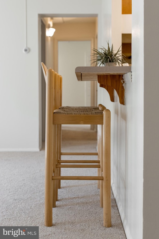 stairway with carpet floors