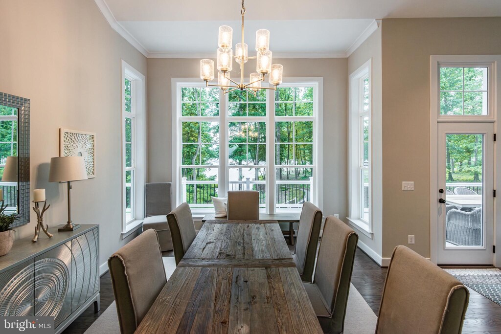 dining room featuring a notable chandelier, plenty of natural light, ornamental molding, and dark wood-type flooring