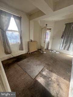 miscellaneous room with a wealth of natural light and radiator