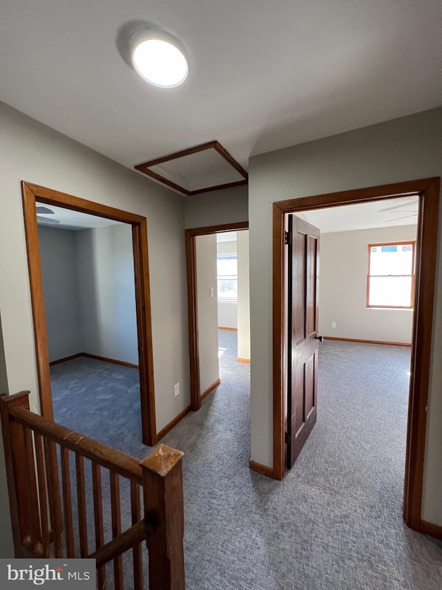 hallway with dark carpet and a wealth of natural light