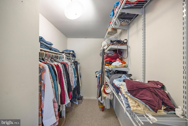 walk in closet featuring carpet