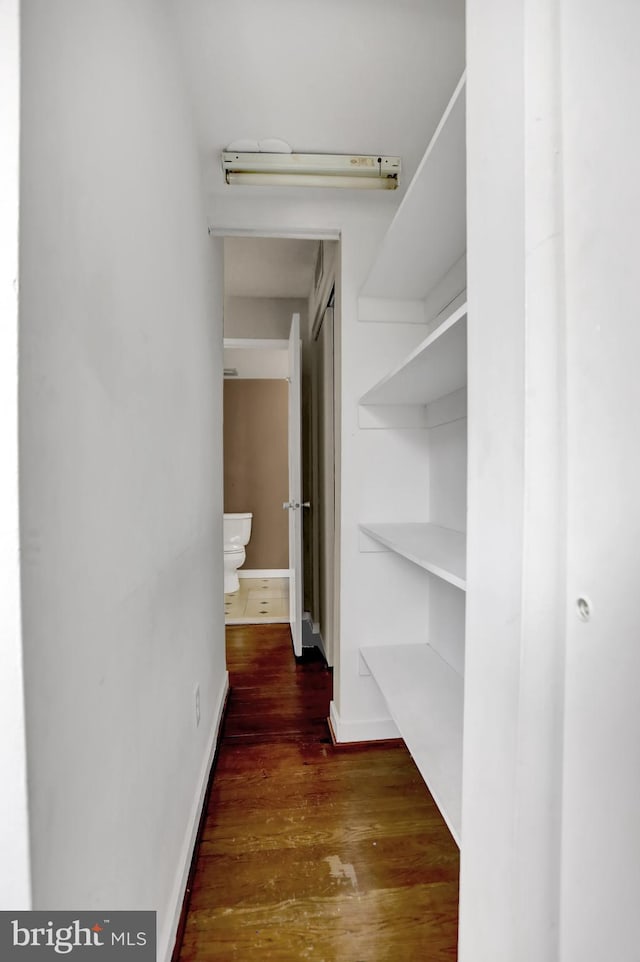 walk in closet with dark hardwood / wood-style flooring