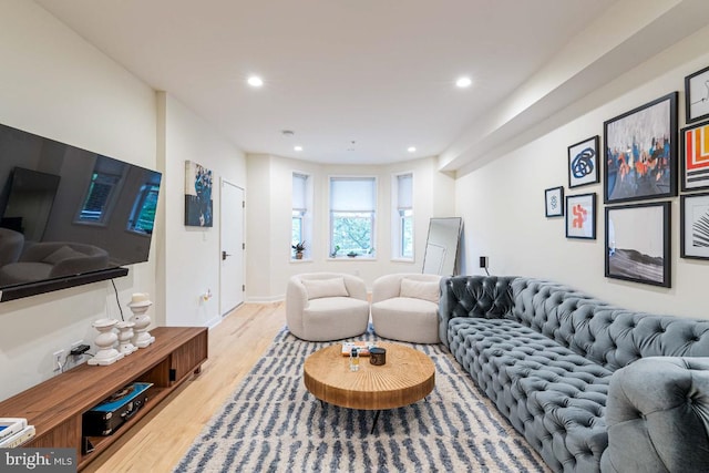 living room with light wood-type flooring