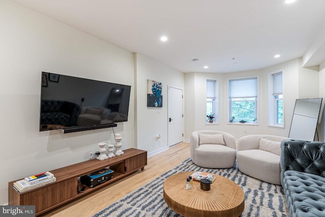 living room with light wood-type flooring