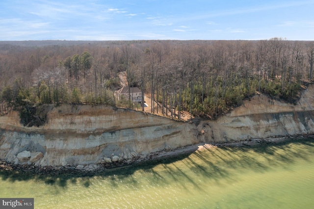 bird's eye view with a view of trees